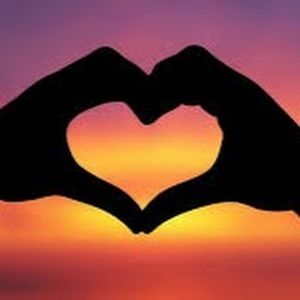 Meet your Posher, Josephine